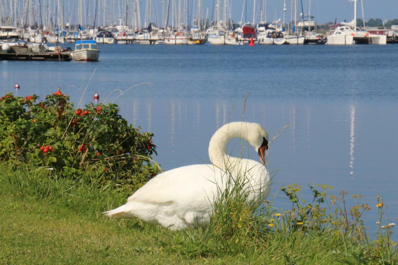 2Zi-Ferienwohnung Am Suedstrand Mit Eigenem Parkplatz Perfekt Fuer Familie Burgtiefe auf Fehmarn ภายนอก รูปภาพ